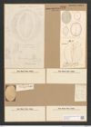 Diatomeae indet. (de-Toni-Nr.: Species 1845 ?) Zeichnungen Sammlung Grunow Nr. 3726 (NHMW-BOT-W0371364)